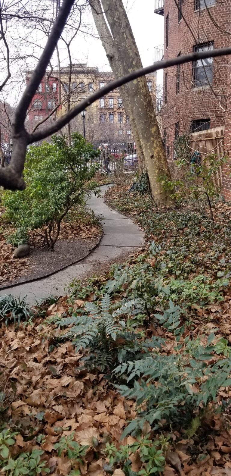 A picture of a wooded pathway